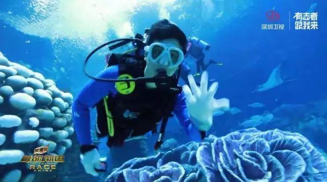 逃离老旧温泉社