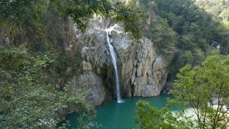 又一动物园猴山有猫?官方回应