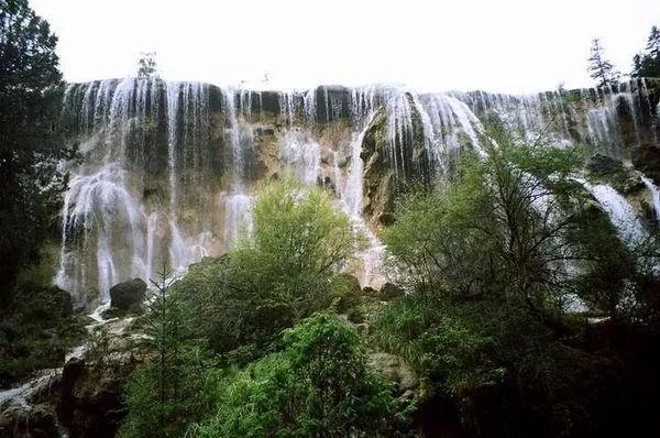 虫虫助手下载