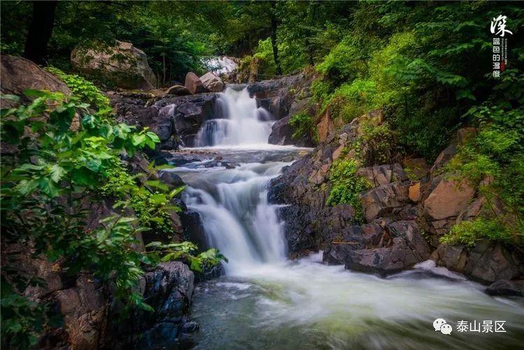 港股全线走强,网易-S领涨,低费率恒生科技ETF基金(513260)盘中大涨超3%