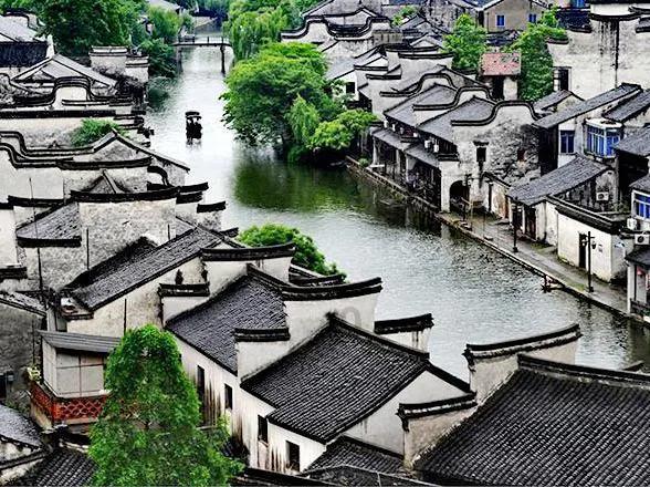 针织裙