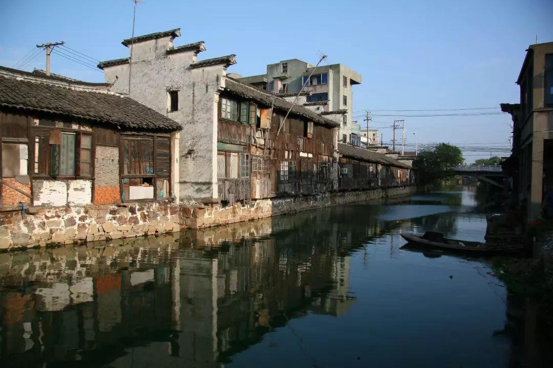 动物帮帮忙保卫家园