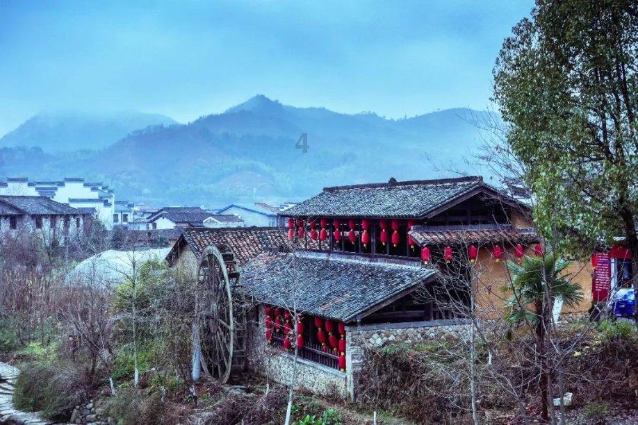巧用“兔子战术”,杨婧茹为中国队拿下冬青奥会首金